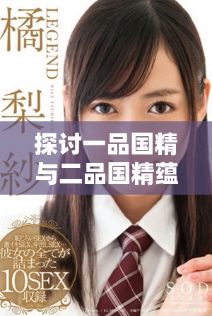 探討一品國精與二品國精蘊含的文化底蘊與象征意義