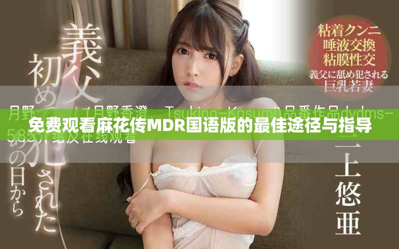 免費觀看麻花傳MDR國語版的最佳途徑與指導