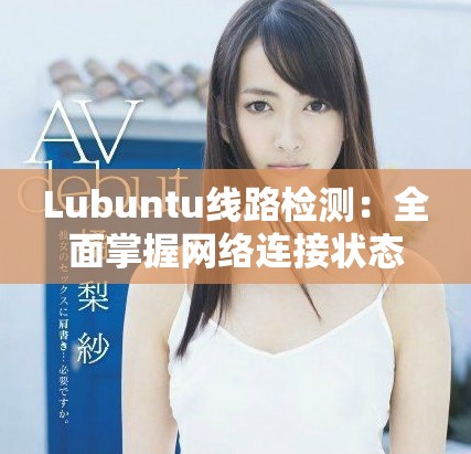 Lubuntu線路檢測：全面掌握網絡連接狀態與故障排查技巧