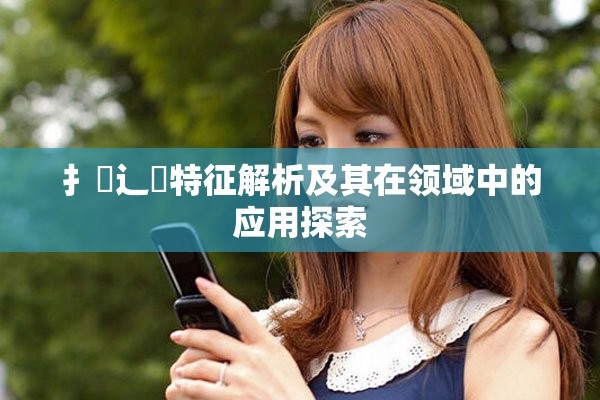 扌喿辶畐特征解析及其在領(lǐng)域中的應(yīng)用探索