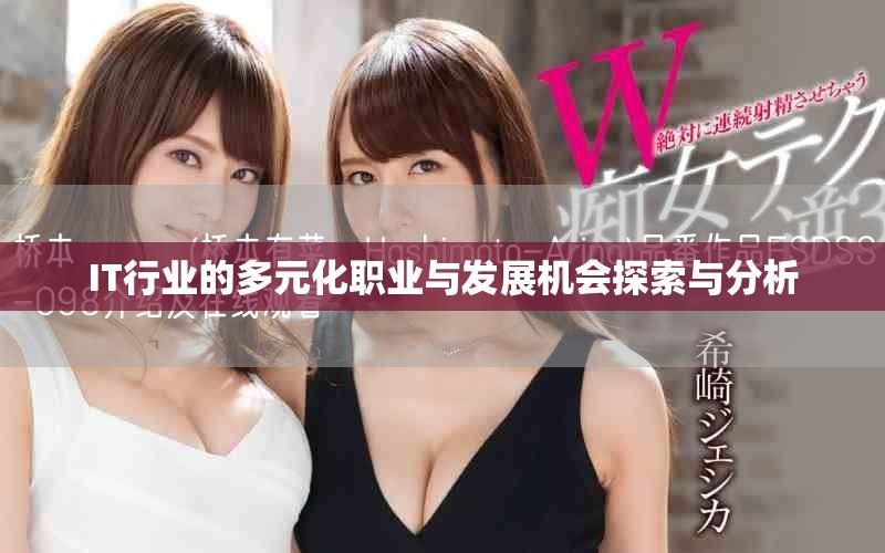 IT行業的多元化職業與發展機會探索與分析