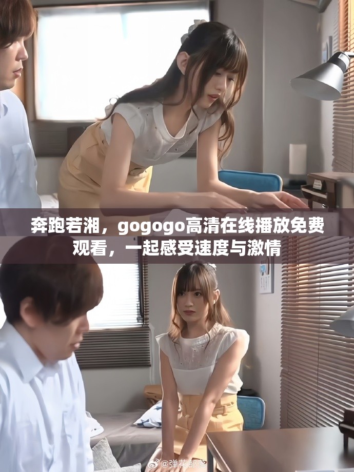 奔跑若湘，gogogo高清在線播放免費(fèi)觀看，一起感受速度與激情