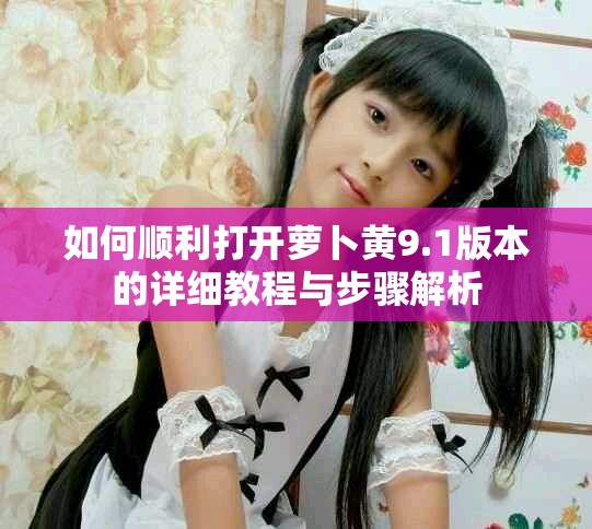 如何順利打開蘿卜黃9.1版本的詳細教程與步驟解析