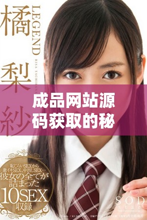 成品網站源碼獲取的秘密入口與隱藏技巧解析