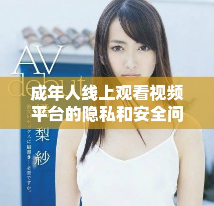 成年人線上觀看視頻平臺的隱私和安全問題解析