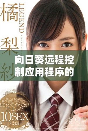 向日葵遠程控制應用程序的官方下載安裝指南與步驟詳解