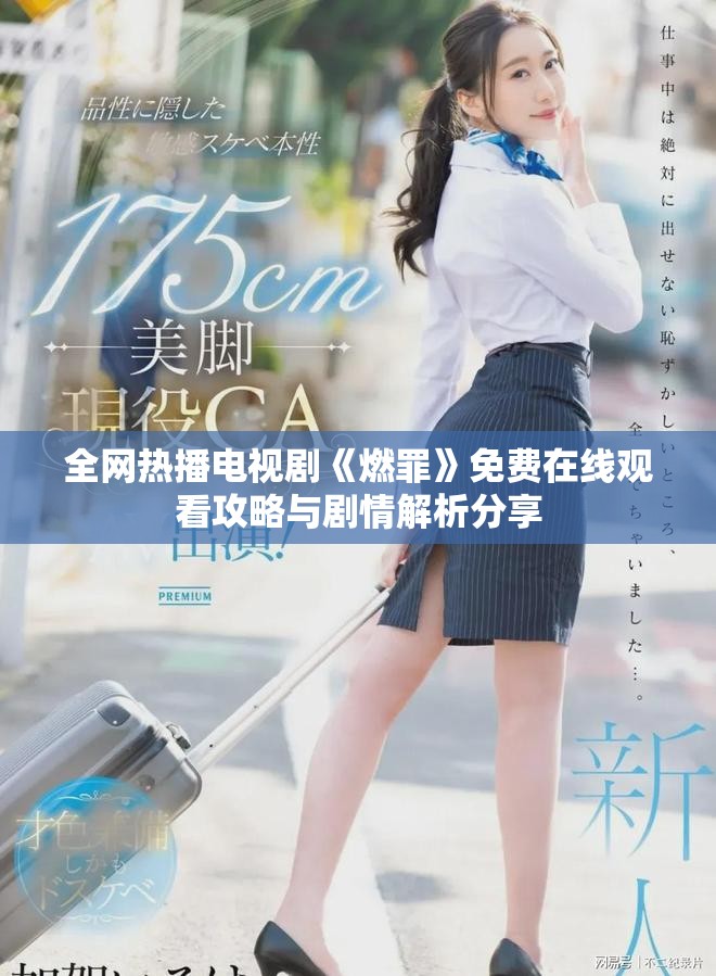全網熱播電視劇《燃罪》免費在線觀看攻略與劇情解析分享
