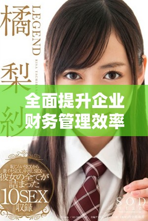 全面提升企業財務管理效率的t+財務軟件介紹與應用分析