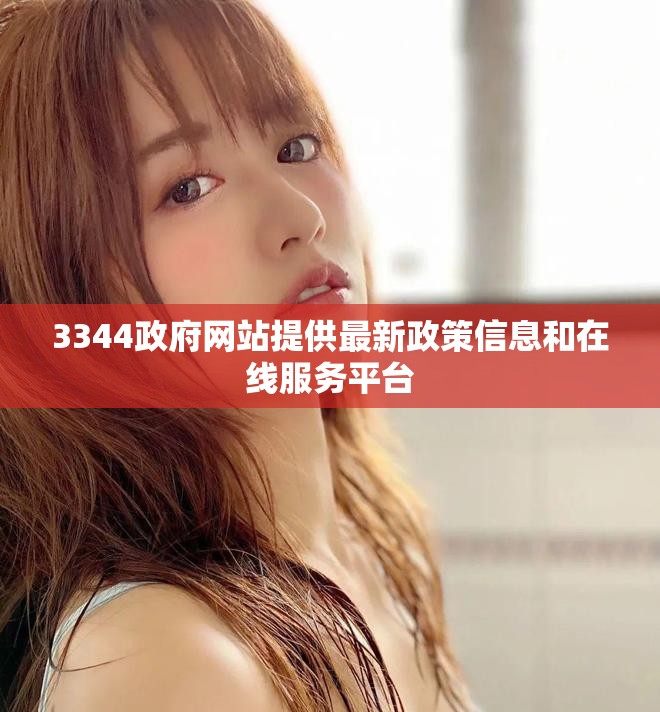 3344政府網站提供最新政策信息和在線服務平臺