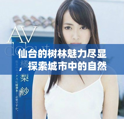 仙臺(tái)的樹(shù)林魅力盡顯，探索城市中的自然綠意與寧?kù)o之美