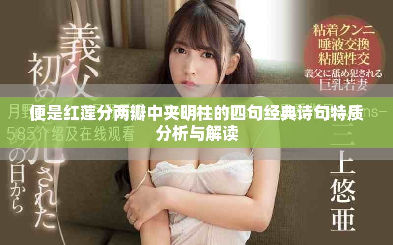 便是紅蓮分兩瓣中夾明柱的四句經(jīng)典詩句特質(zhì)分析與解讀