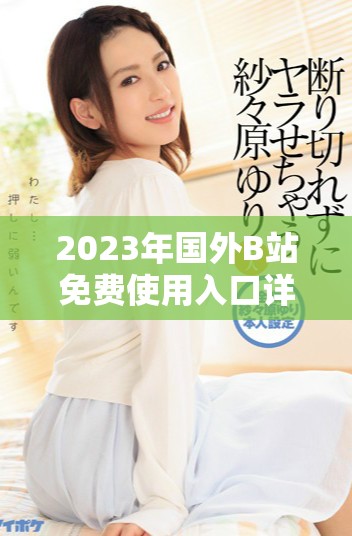 2023年國外B站免費使用入口詳細介紹與指南